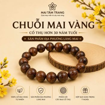 HKD MAI TÂM TRANG