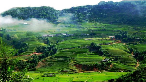 Ngành dịch vụ du lịch nông thôn và bán hàng